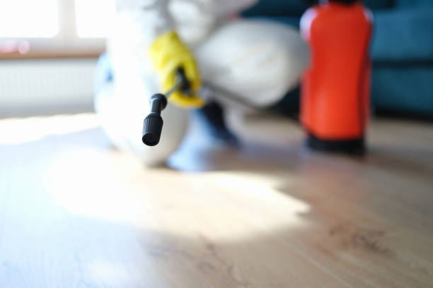 Mold Remediation for Vacation Homes